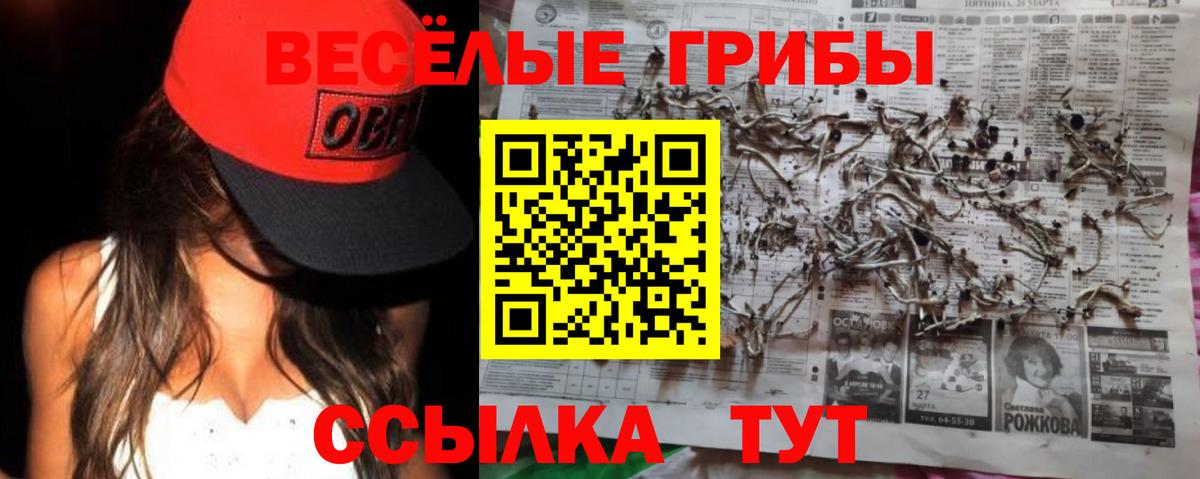 Лесосибирск  Галлюциногенные грибы ЛСД  Вход с VPN 